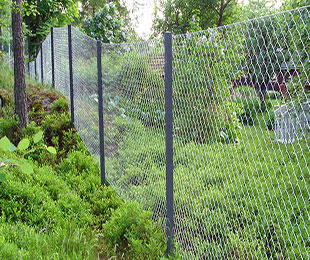 Chain Link Fence